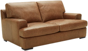 Stone & Beam Lauren Comfortable Leather Futon Couch  Set